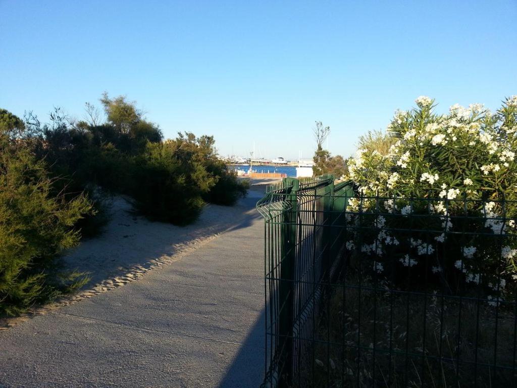 Flat Daire Bormes-les-Mimosas Dış mekan fotoğraf